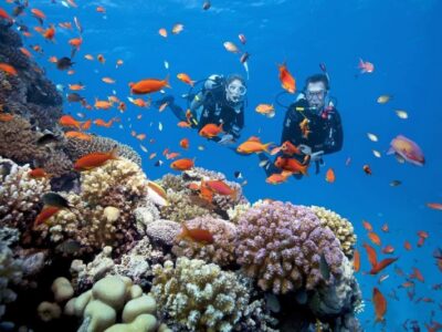 Vietnam & Cambodia Explorer: Coastlines, Cities & Ancient Wonders