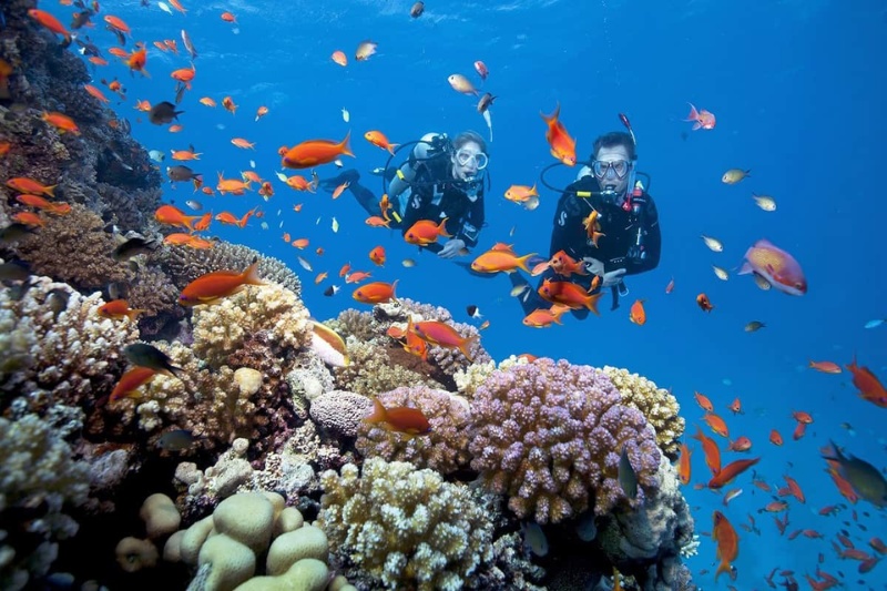 Vietnam & Cambodia Explorer: Coastlines, Cities & Ancient Wonders