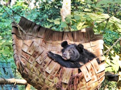 A Journey for All Ages to Luang Prabang