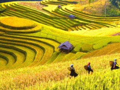 North Vietnam Couple Holiday: Hanoi, Ninh Binh, Sapa & Halong Bay