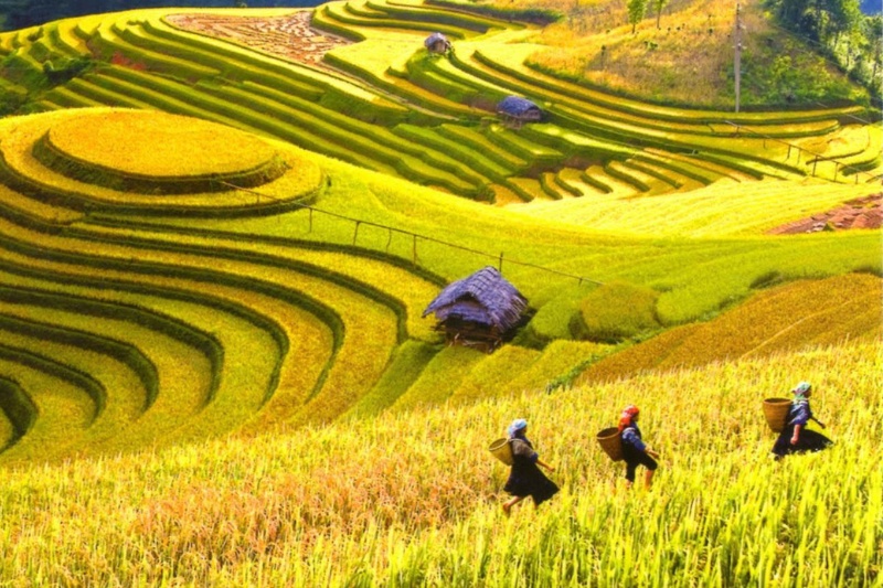North Vietnam Couple Holiday: Hanoi, Ninh Binh, Sapa & Halong Bay