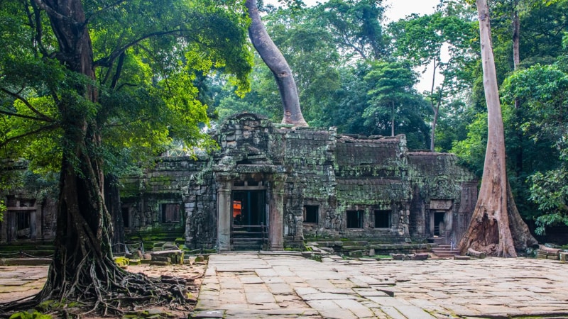 A Unique Jungle Temple in Angkor