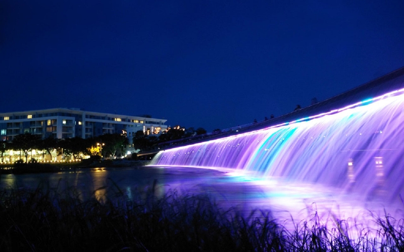 Admire the Sparkling Lights that Resemble Stars