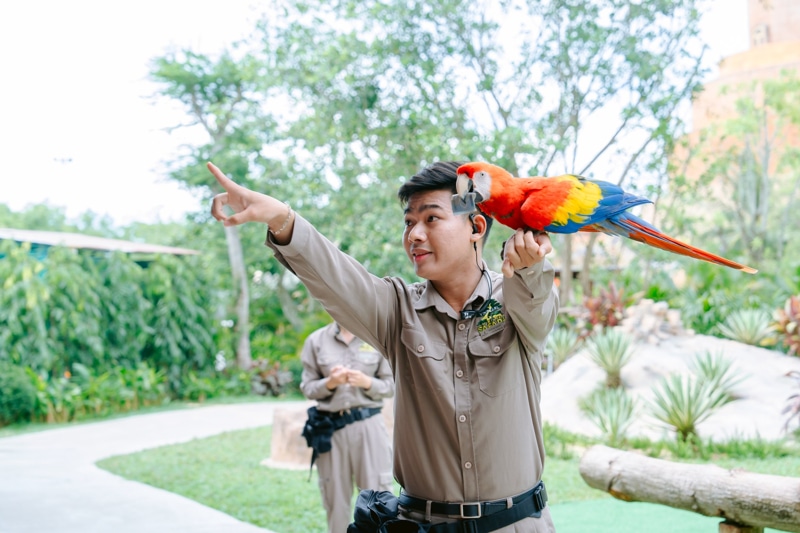 Animal Shows in Vinpearl Safari Phu Quoc