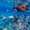 Explore North and South of Vietnam in 7 Days
