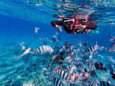 Explore North and South of Vietnam in 7 Days
