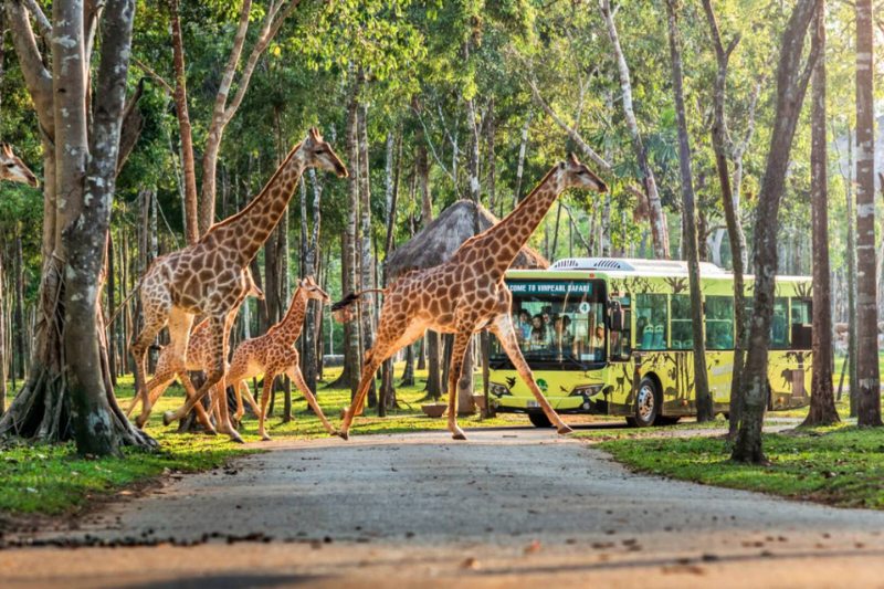 Signature Vietnam Odyssey: Hanoi, Ninh Binh, Halong & Phu Quoc Wonders