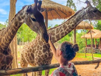 Marvels of Vietnamese Beauty in 9 Days with Phu Quoc