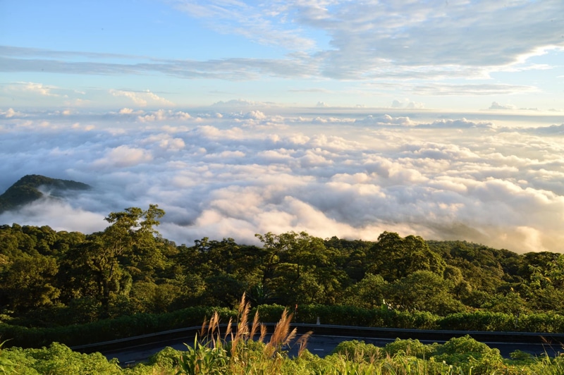 Cloud hunting in Ba Vi National Park