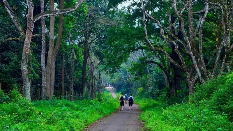 Cuc Phuong National Park