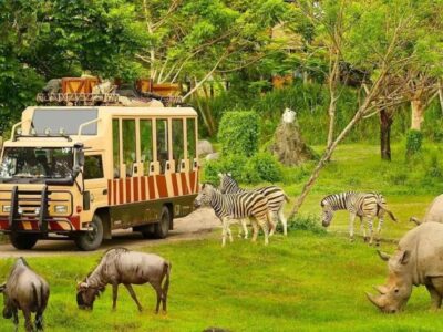 Vietnam Together: A Family Journey of Discovery from North to South Vietnam