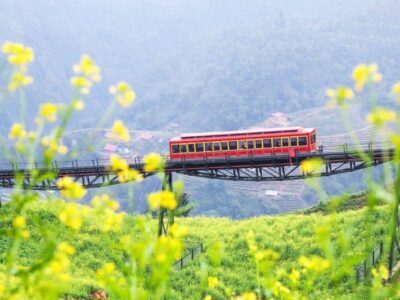 The Great Vietnam Loop: 9 Days of Family Fun from North to Central