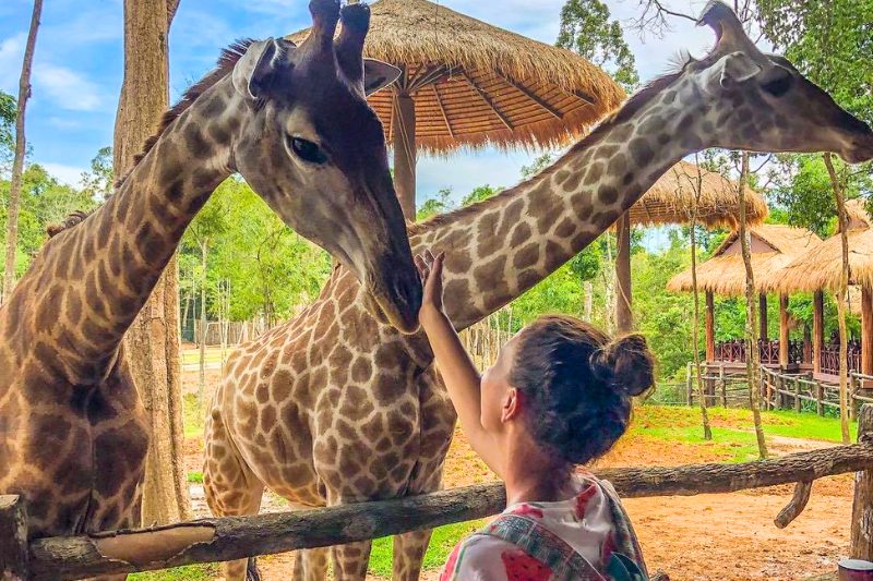 Vietnam Family Wonderland: 10 Days of Fun from Hanoi to Phu Quoc