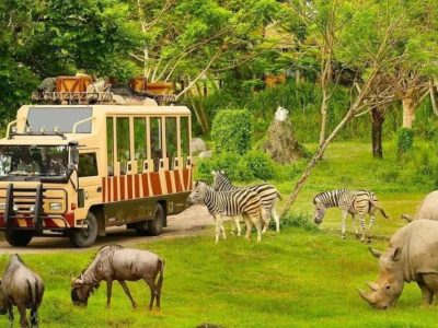 A Vietnamese Premium Experience for Families: Hanoi, Halong Bay & Phu Quoc