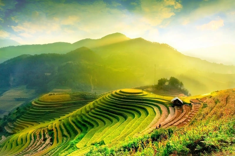 Mu Cang Chai