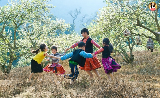 destinations for family in vietnam