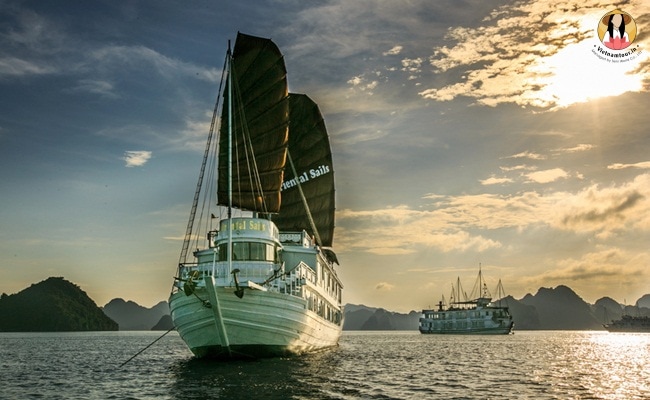 Halong Bay cruises oriental sails 2 20190515173458636