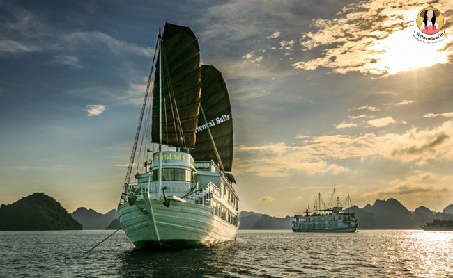 Oriental Sails Cruise