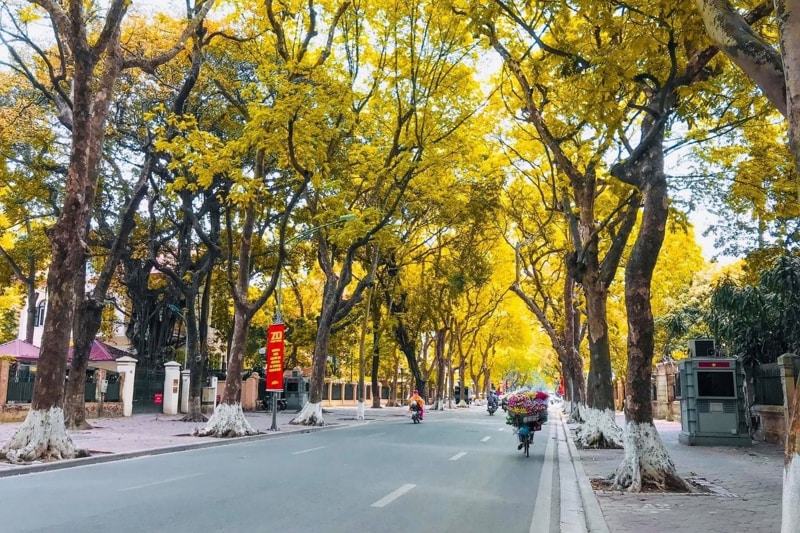 Hanoi Street in the Fall