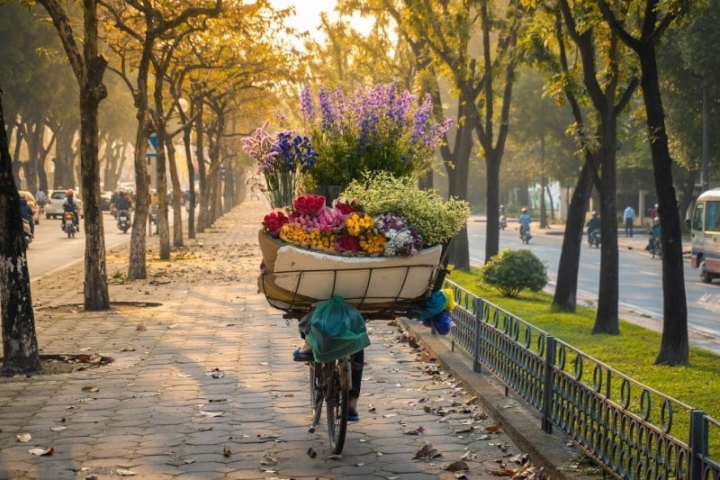 Hanoi in the Fall