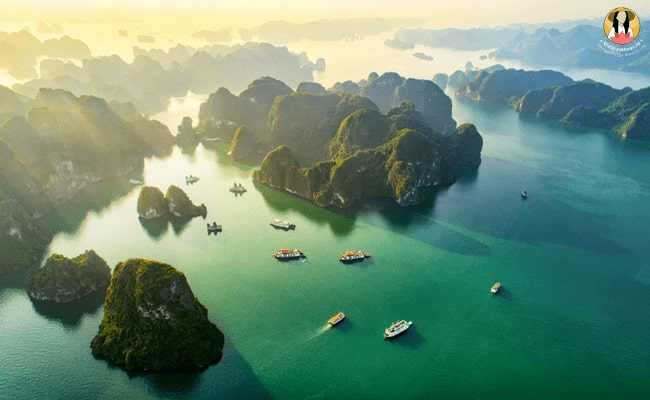 Hidden truth about VNIN - Halong Bay