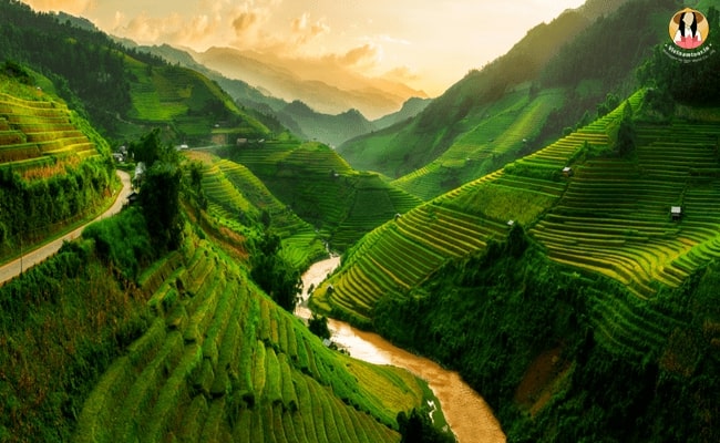 Mu Cang Chai