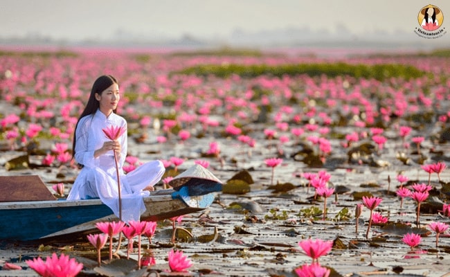 Lotus lake