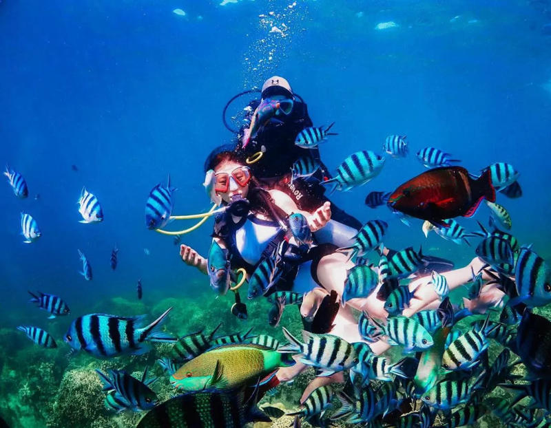 Scuba Diving in Vietnam