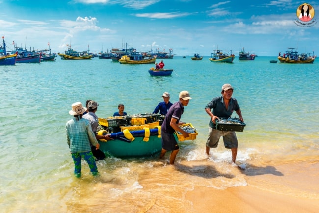 Life of fishermen in Vietnam