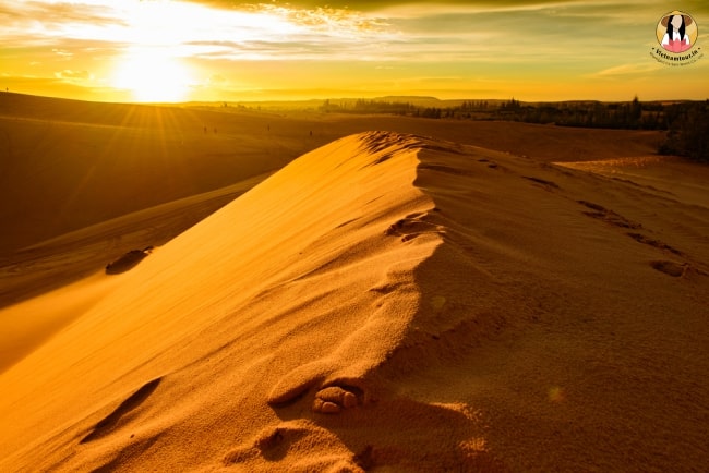 Red Sand Dunes