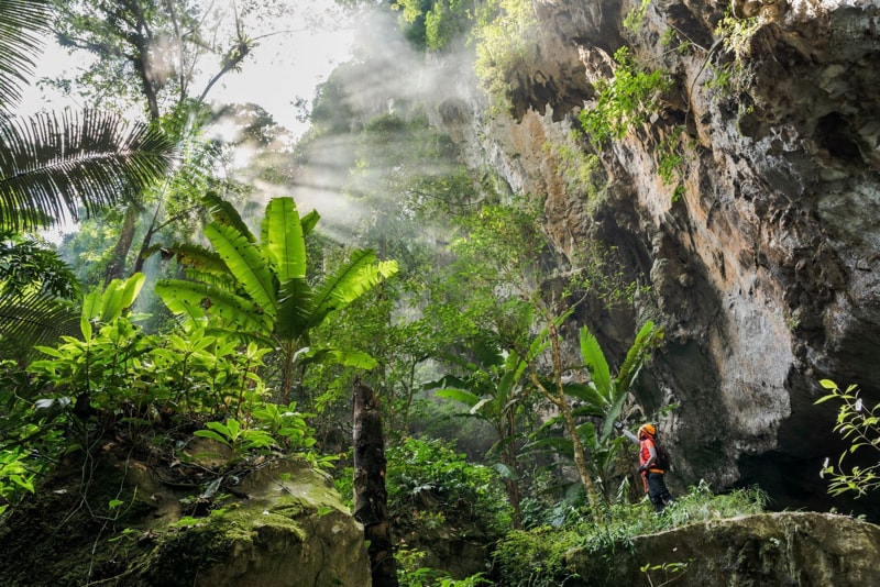 Jungle Inside the Son Doong