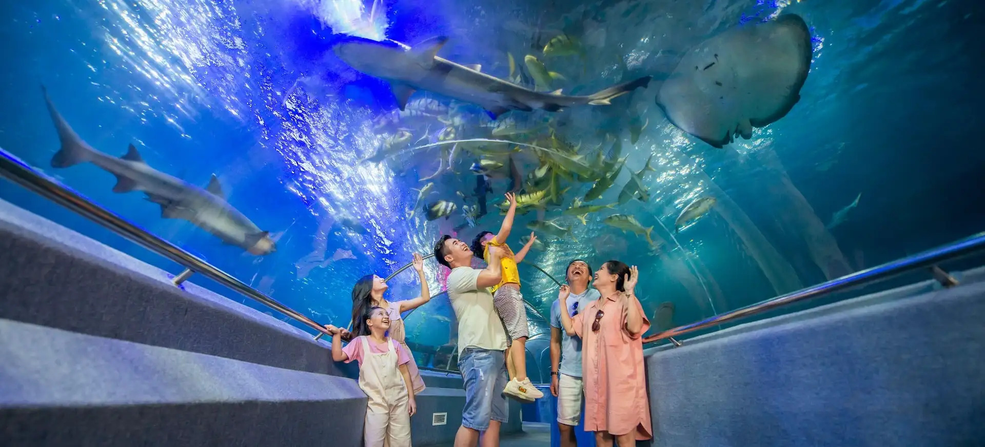 Exploring National Oceanographic Museum Nha Trang In 2024