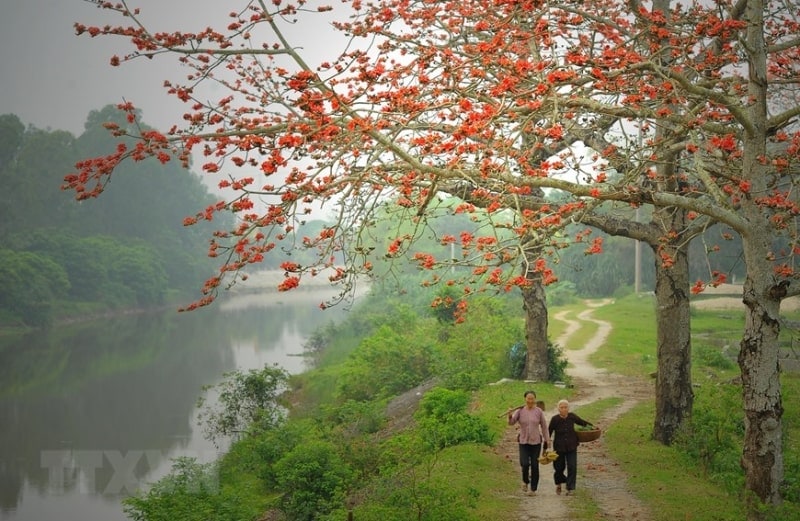 Ninh Binh in spring