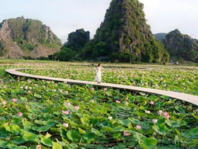 8-Day Vietnam Tours