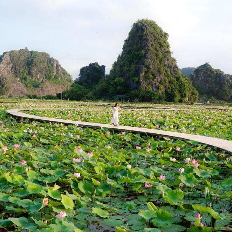 Ninh Binh in Summer