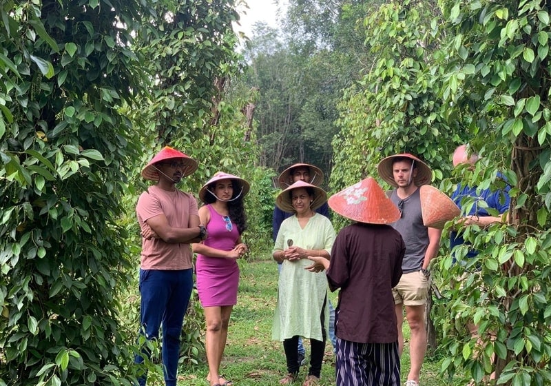 Pepper Farms Phu Quoc