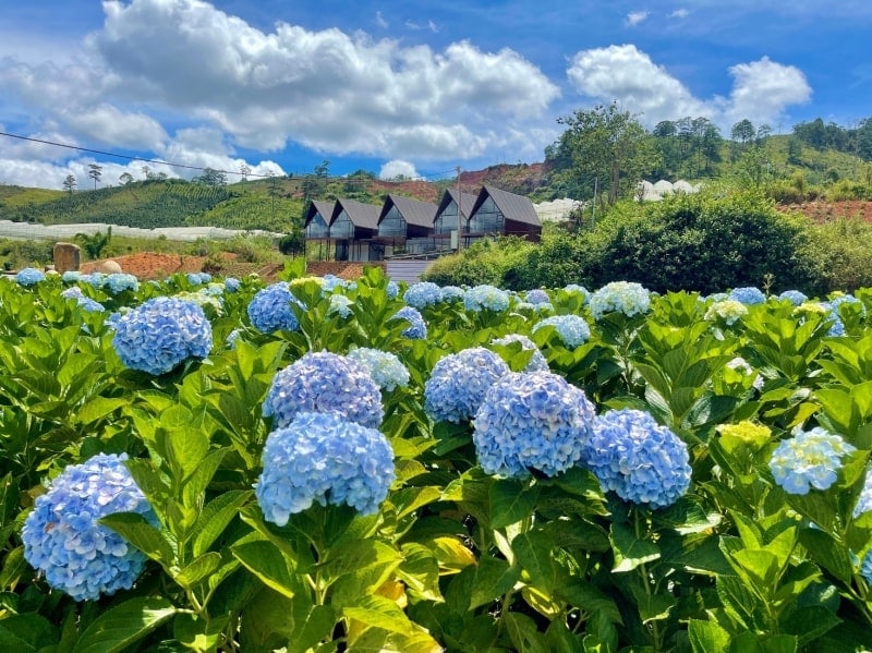 places to visit in da lat