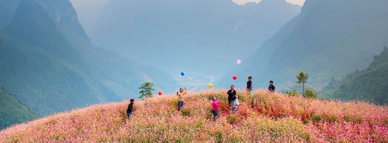 Sa Lung Valley, Ha Giang in the Buckwheat flower season