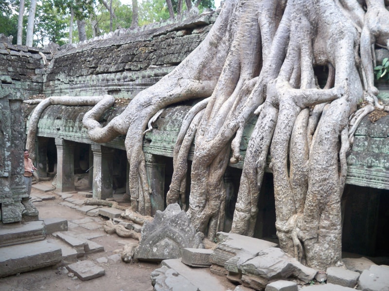 Ta Prohm in Cambodia