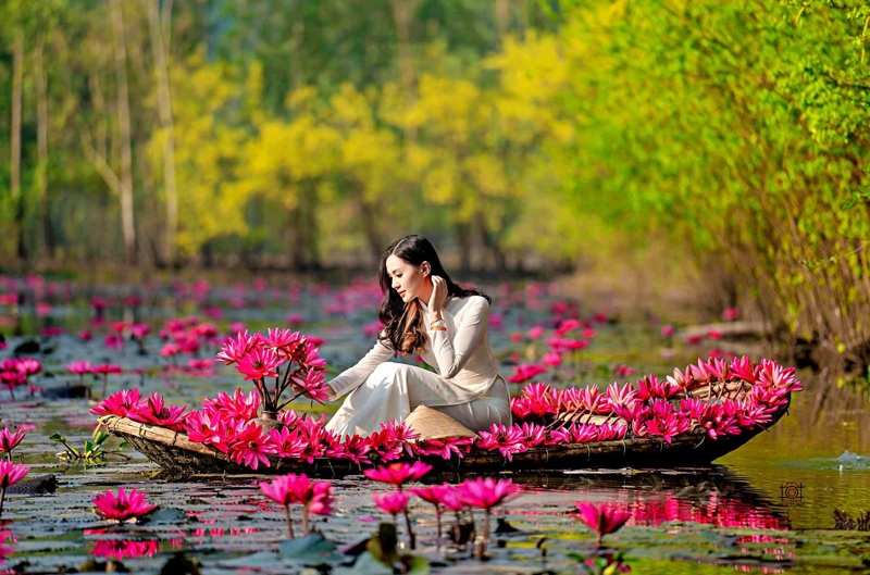Take Photo with Water Lily in Yen Steam, Perfume Pagoda