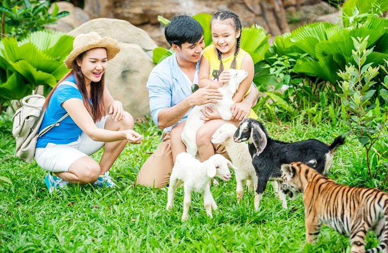 Take Photos with Animals in Vinpearl Safari Phu Quoc