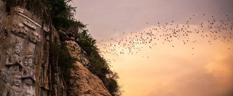 The Bat Caves in Phnom Sampeau, Cambodia