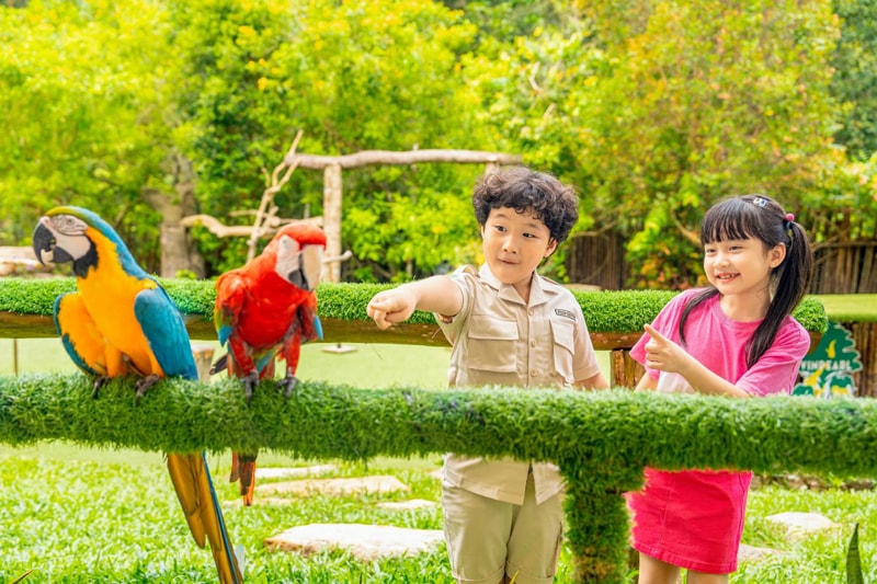 The Junior Zoo Keeper Program at Vinpearl Safari Phu Quoc