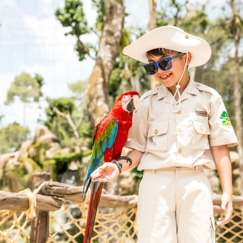 The Junior Zoo Keeper Program at Vinpearl Safari Phu Quoc