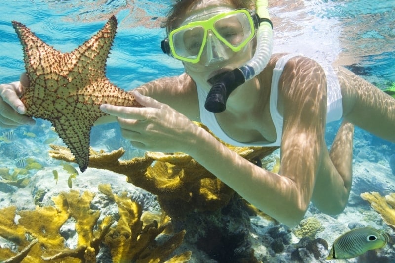 Diving and snorkeling