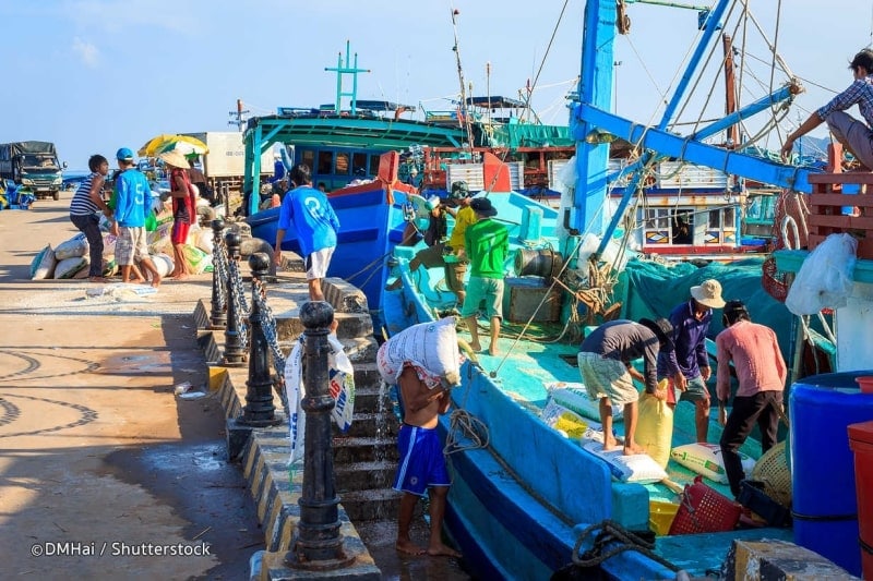 Ham Ninh fishing town