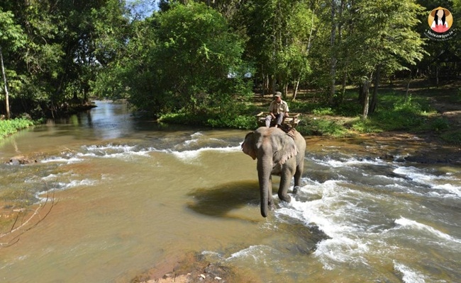 Things to do in Cambodia Virachey National Park
