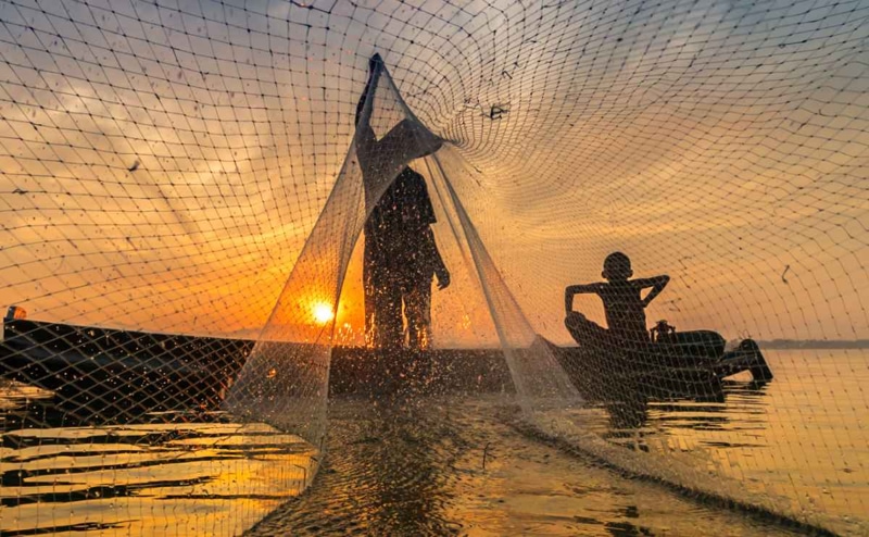 Tonle Sap Lake provides 75% of Cambodia's freshwater fish production