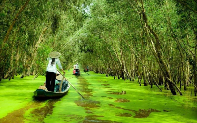 Things To Do In The Mekong Delta