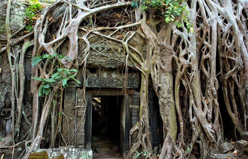 Travel cautiously, especially over the many stone steps and narrow hallways